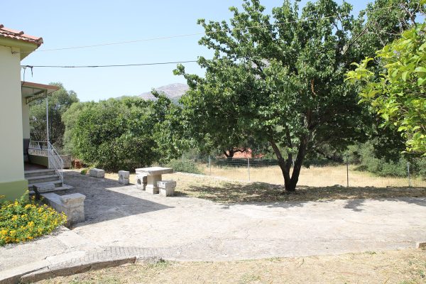 Hidden Gem Kefalonia (House Rental) a tree in a yard