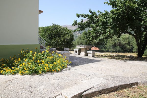 Hidden Gem Kefalonia (House Rental) a tree with green leaves